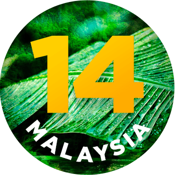 Stranded 14: Malaysia