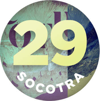 Stranded 29: Socotra