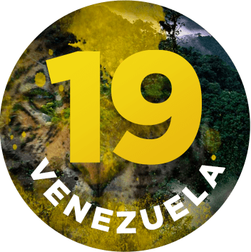 Stranded 19: Venezuela
